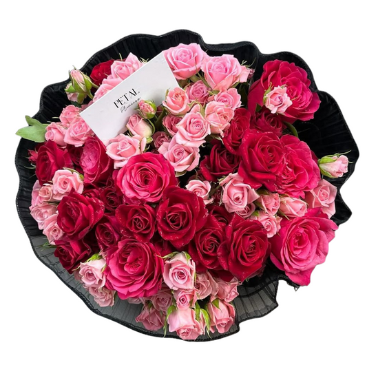 Cashmere Petals